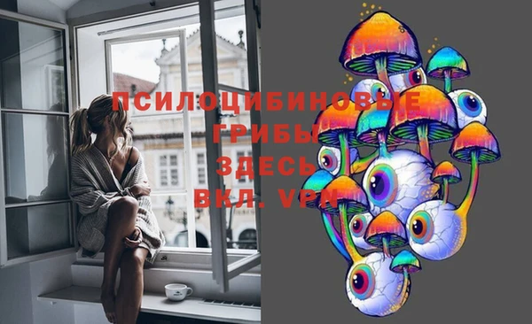спиды Мегион